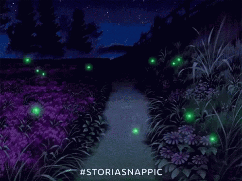 fireflies at night gif