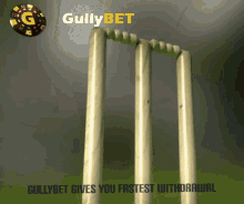 Out Wicket GIF - Out Wicket Gullybet GIFs