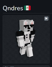a screenshot of a minecraft character with the name qandres