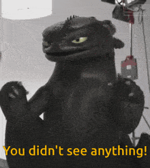 You Didn'T See Anything Toothless GIF - You Didn'T See Anything Toothless Funny GIFs