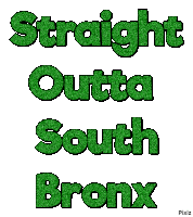 South Bronx Sticker - South Bronx Bronx Stickers