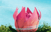 a pink flower is floating in the water with a blue sky in the background