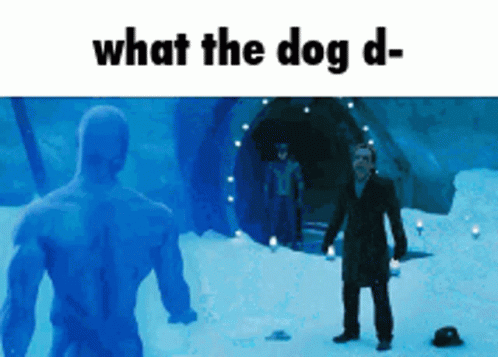 What The Dog Doing Mootives GIF - What The Dog Doing What The Dog Doin