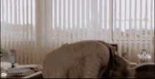 Chris Farley Meltdown GIF - Chris Farley Meltdown Tommy Boy GIFs