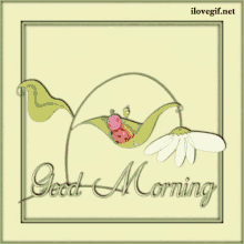 Good Morning Lady Bug GIF - Good Morning Lady Bug GIFs