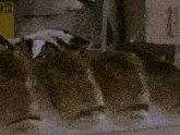 4kilo 4dolce Za Kilo GIF