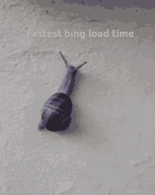 Slow Bing GIF - Slow Bing Microsoft GIFs