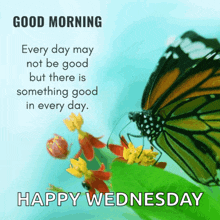a butterfly sits on a flower with a quote that says good morning happy wednesday