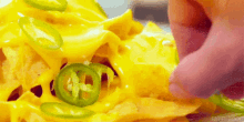queso nacho nacho cheese