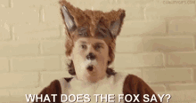 Wtf What Does The Fox Say GIF - Wtf What Does The Fox Say GIFs