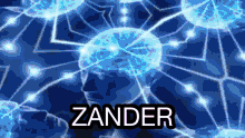 Zander Smart Zander Knowledge GIF