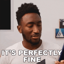 Its Perfectly Fine Marques Brownlee GIF - Its Perfectly Fine Marques Brownlee Its Alright GIFs