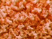 Popcorn Snacks GIF - Popcorn Snacks Food GIFs