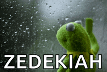 a kermit the frog looking out a window with the word zedekiah written below him