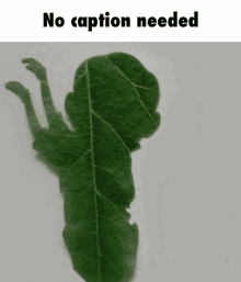 No Caption Dance GIF - No Caption Dance Leaf GIFs