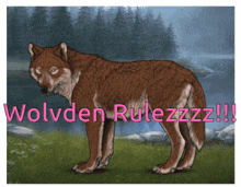 Wolf Wolvden GIF - Wolf Wolvden Korlkore GIFs