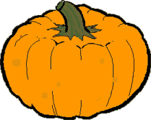 what pumpkin