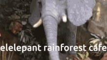 Rainforest Cafe Rainforest GIF - Rainforest Cafe Rainforest Elephant GIFs