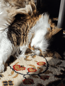 a calico cat sleeping on a rug with a floral pattern