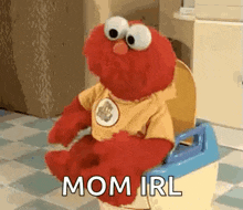 elmo is sitting on a potty with the words `` mom irl '' written on it .