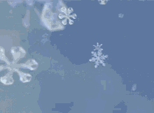 Winter Snow GIF - Winter Snow Crystals GIFs