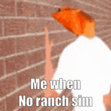 Ranch Sim Ranch Simulator GIF - Ranch Sim Ranch Simulator Me When No Ranch Sim GIFs