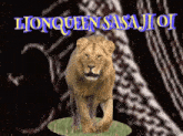 a picture of a lion with the words lionqueen sasajioi
