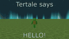 a turtle says hello in a minecraft game