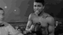 Goat Greatest Of All Time GIF - Goat Greatest Of All Time Boxing GIFs