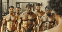 Chesticles Abs GIF - Chesticles Abs GIFs
