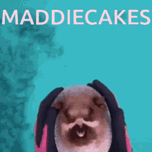 Maddiecakes GIF - Maddiecakes GIFs