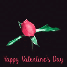 Happy Valentines Day Rose Blooming GIF - Happy Valentines Day Valentines Day Rose Blooming GIFs