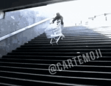 a black and white photo of a person pushing a shopping cart up some stairs