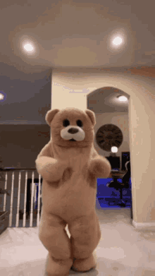 dance bear teddy
