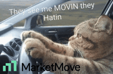 Mm Marketmove GIF - Mm Marketmove Move GIFs