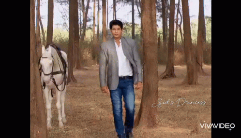 Sidharth Shukla Balika Vadhu GIF - Sidharth Shukla Balika Vadhu GIFs