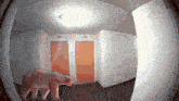 a polar bear is walking down a hallway with the numbers 121 and 120 on the doors