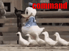 Command Duck GIF - Command Duck GIFs