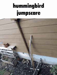 Fnaf Jumpscare GIF - Fnaf Jumpscare Hummingbird GIFs