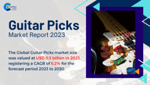 Guitar Picks Market Report 2024 GIF - Guitar Picks Market Report 2024 GIFs