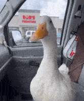 Duck Quack Car GIF - Duck Quack Car GIFs