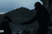 a couple of monkeys standing next to each other with the word planet of the apes in the background