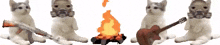 Cats Sitting GIF - Cats Sitting Campfire GIFs