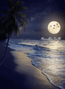 Beach Background Beach GIF - Beach Background Beach Moonlight GIFs
