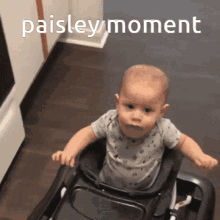 Paisley GIF - Paisley GIFs