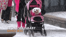Dance Dog Broadway Baby GIF