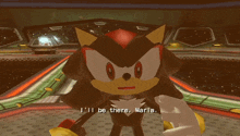 shadow the hedgehog in a video game that says i swear whatever it takes