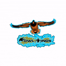 fowl minds fowlminds foul minds duck hunting duckhunting