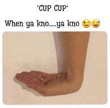 Cup GIF
