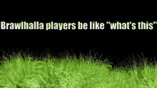 brawlhalla players